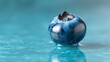 © BOJOShop - Single plump blueberry with water droplets resting on a smooth blue surface with reflections