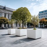 City square with white planters