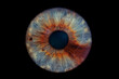 © Lorant - blue eye iris with a brown slice