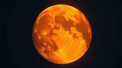 Wall Mural - a bright full moon shining through the darkness of night, with a clear view of the stars