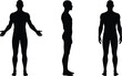 © Lotus - Male human body silhouette vector front side and back view of man anatomy outline isolated black figure pose set full body illustration concept