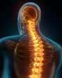 © lashkhidzetim - A man's spine is shown in a blue and orange color scheme