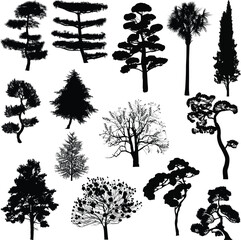Wall Mural - different trees fourteen silhouettes isolated on white