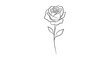 © Sumaiya - A delicate line drawing of a single rose with stem and leaves, isolated on transparent background