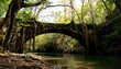 © Siro - Lush overgrown arch bridge spanning a tranquil river.