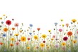© jinna - Vibrant Wildflower Meadow  Colorful Spring Flowers Border