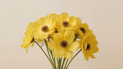 Wall Mural - Sunlit yellow anemone flowers gathered as a bouquet on a subtle horizontal surface