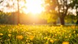 © ardian - Golden hour sunlight over a serene meadow of blooming yellow wildflowers with a warm, blurred nature background.