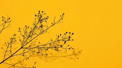 Wall Mural - tree branch with leaf silhouettes casting shadows on a bright yellow wall