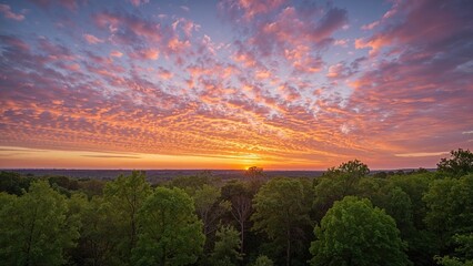 Wall Mural - early morning sky painted with bright clouds above trees
