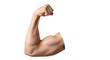 © Hilman - Bicep Flex Muscular Arm on White Background