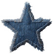 © Rara - Fringed denim star patch (2)