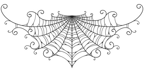 Wall Mural - spider web vector