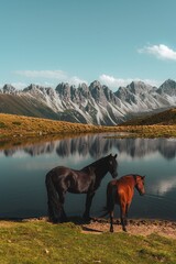 Wall Mural - horses by a serene mountain lake.