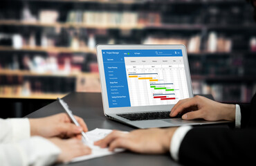 Wall Mural - project planning software for brisk business project management on the computer screen showing timel