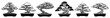 © Aisha Kudorova - bonsai tree set japanese zen garden plant vector