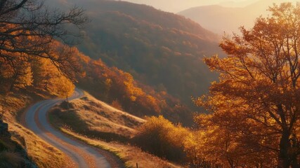 Wall Mural - A scenic winding road through a dense forest