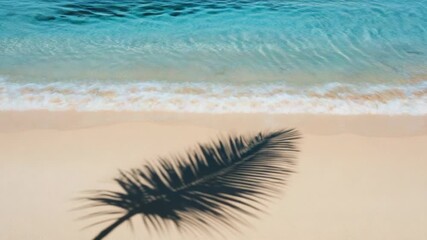 Wall Mural - A silhouette of a palm tree on a sunny beach, great for vacation or travel themes