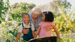 © Monkey Business - Grandchildren Helping Grandmother Working In Vegetable Garden Or Allotment With Barrow At Home