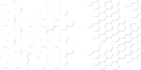 Wall Mural - background with hexagons . abstract background with lines . white texture background . white and hex