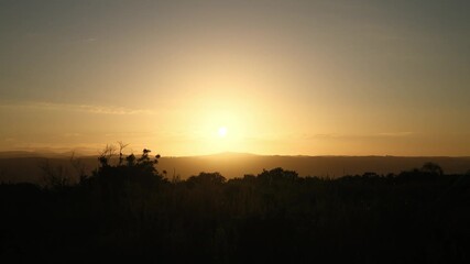 Wall Mural - an intense sunrise rises from behind center-framed mountains, casting strong golden hour light. bush