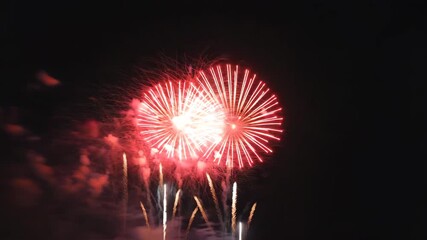 Wall Mural - fireworks in the night sky
