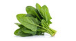 © DesignsBurner - Fresh spinach leaves bunch isolated on white background for healthy eating and cooking recipes ideas