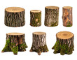 © Karo - Set of stumps with moss isolated on a transparent background.