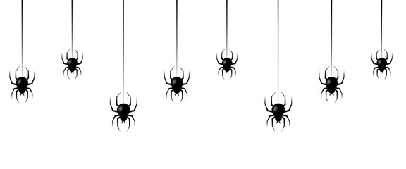 Black spiders hanging web