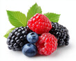 © Naila - A happy mix of berries, blackberries and raspberries with green leaves