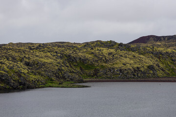 Canvas Print - Icelandic landscape of green field and lake water.