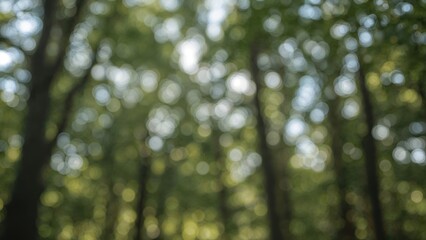 Wall Mural - summer-inspired abstract tree and light pattern with a soft bokeh effect for graphic design