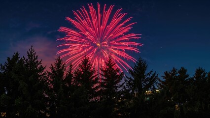 Wall Mural - Bright fireworks lighting up the dark sky above shadowed pine trees.