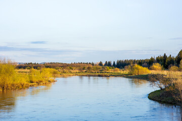 Wall Mural - A calm river with trees in the background