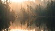 © XIN KONG - Peaceful forest landscape reflected in still water, capturing golden sunlight through trees.