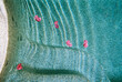 © Cara Dolan/Stocksy - Abstract texture of pink Floating flower Petals in pool water