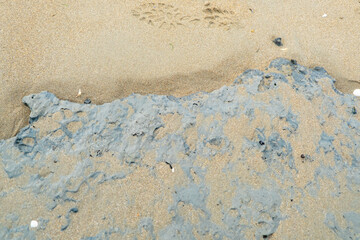 Wall Mural - Sandy beach with footprints and blue clay by the shoreline.