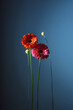 © JORGE PONZ/Stocksy - Colorful flowers with unique stems in a soft blue background