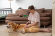 © Basil Pind/Stocksy - Woman grooming corgi on carpet in living room