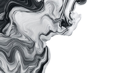 Canvas Print - Abstract monochrome liquid swirl with subtle texture on white