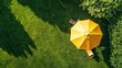 © Chaikit - aerial view luxury garden setup sunshine yellow parasol classic wooden sun chair fresh emerald lawn carefully manicured grass morning sunlight gentle shadows geometric composition drone perspective