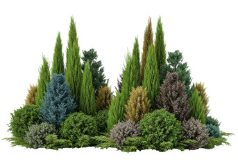 Photo of diverse group of trees and bushes isolated on transparent background, a garden landscape