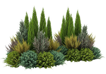 Photo of assorted evergreen shrubs and trees for landscaping isolated on transparent background