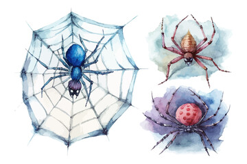 set of watercolor Spider Web vector illustration isolated on white background