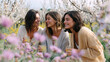 © dinatychynska - Three happy women friends celebrate spring party outdoors among blooming cherry blossoms. Joyful gathering shows friendship bonding with drinks in beautiful flowering garden setting.