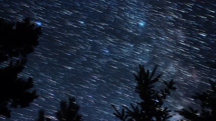 Wall Mural - milky way star-trails and rural countryside tree silhouettes. time-lapse video.