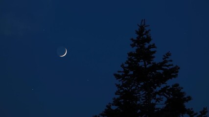 Wall Mural - crescent young moon with stars, planets and rural countryside tree silhouettes.