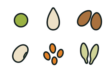 Different types of seeds displayed in a minimalist style on a white background for educational purposes