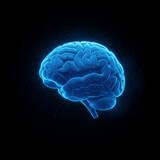 Brain Scan - 3D Render of Neural Network Concept