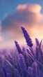 © Yuliia - Purple wheat stalks against sunset sky with soft pink clouds, creating dreamy atmospheric nature scene with shallow depth of field and vibrant colors.